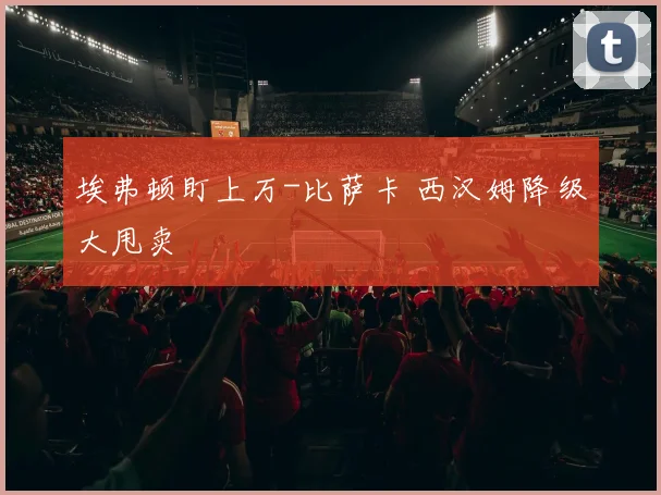 埃弗顿盯上万-比萨卡 西汉姆降级大甩卖
